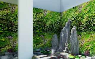 Đơn vị thi công vườn tường đẹp, chất lượng nhất tại Hà Nội