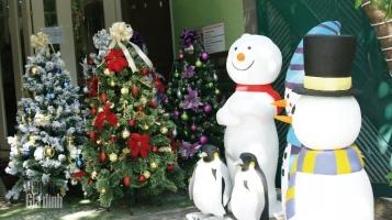 Cửa hàng bán đồ trang trí Giáng Sinh (Noel) giá rẻ tại Thành phố Hồ Chí Minh