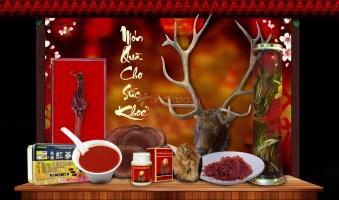 Cửa hàng bán nhung hươu chất lượng và uy tín nhất tại Hà Nội