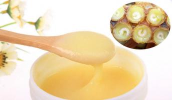 Cửa hàng bán sữa ong chúa nguyên chất uy tín nhất tại TP. HCM