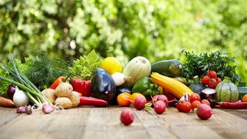 Cửa hàng thực phẩm sạch uy tín và chất lượng nhất Thanh Hóa