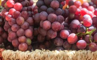 Đặc sản nổi tiếng nhất Phan Rang - Ninh Thuận