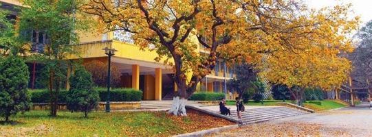 Trường đại học danh giá mang tính ứng dụng cao tại thủ đô Hà Nội