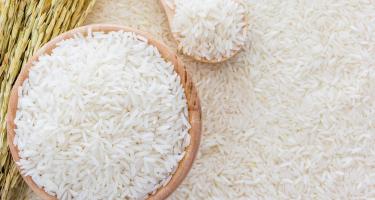 Đại lý bán gạo uy tín, chất lượng nhất tỉnh Đắk Lắk