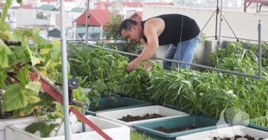 Dàn ý bài văn tả người đang hoạt động chi tiết nhất