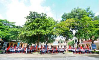 Dàn ý bài văn tả cây bóng mát chi tiết nhất