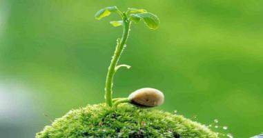 Dàn ý chi tiết các dạng đề phổ biến - chương trình mới Ngữ văn lớp 12