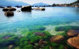 Đảo tôm hùm đáng đi nhất tại Việt Nam