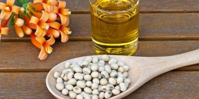 Sản phẩm dầu đậu nành tốt nhất hiện nay