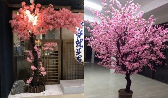 Địa chỉ bán cây hoa anh đào giả đẹp và chất lượng nhất tại TP HCM