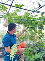 Địa chỉ bán đất, phụ kiện trồng rau sạch tại nhà chất lượng và giá tốt TP.HCM