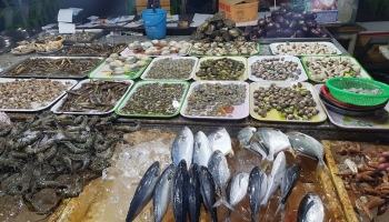 Địa chỉ cung cấp hải sản tươi sống chất lượng nhất Cần Thơ