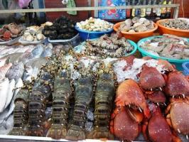 Địa chỉ mua hải sản giá rẻ và uy tín nhất tỉnh Quảng Ninh
