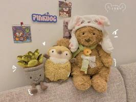 Địa chỉ mua thú nhồi bông đẹp, chất lượng nhất Vũng Tàu