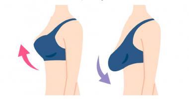 Địa chỉ treo sa trễ uy tín nhất tại TP.HCM