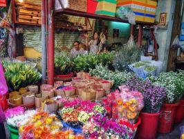 Địa điểm bán hoa Tết đẹp nhất Hà Nội