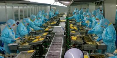 Dịch vụ cung ứng lao động -  nhân sự uy tín ở TP.HCM