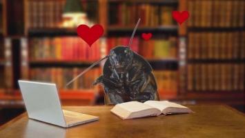 Dịch vụ ''quái đản'' nhất thế giới