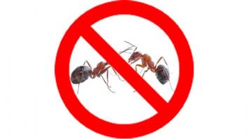 Dịch vụ diệt mối, côn trùng uy tín nhất tỉnh Khánh Hòa