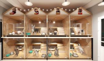 Dịch vụ trông giữ thú cưng ngày lễ, Tết uy tín nhất tại Cần Thơ