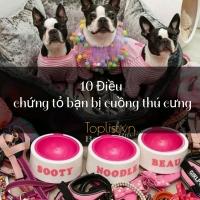 Điều chứng tỏ bạn bị cuồng thú cưng