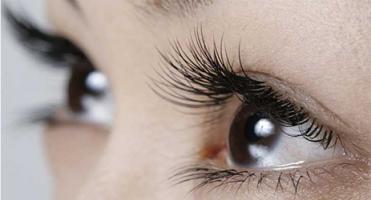 Dòng kẹp bấm mi được tin dùng nhất hiện nay