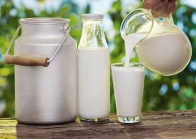 Dòng sữa tươi nhập khẩu được ưa chuộng nhất tại Việt Nam