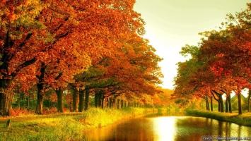 Con đường mùa thu đẹp nhất thế giới