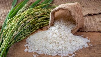 Gạo hữu cơ được tin dùng nhất hiện nay