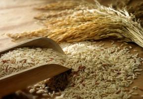 Loại gạo được người dân ưa chuộng nhất Việt Nam