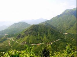 Giáo án Đi lấy mật - Ngữ văn 7 kết nối tri thức hay nhất