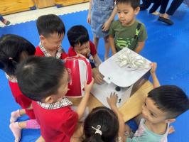 Giáo án phân loại đồ dùng trong gia đình cho trẻ mầm non hay nhất