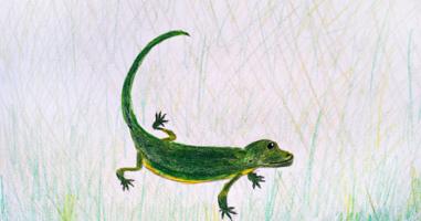 Giáo án Thằn lằn xanh và tắc kè - Tiếng Việt 4 kết nối tri thức hay nhất