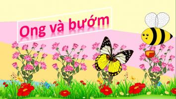 Giáo án thơ ong và bướm cho trẻ mầm non hay nhất
