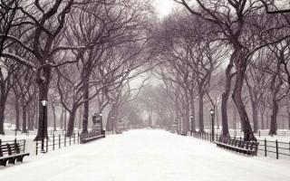 Cách giữ gìn sức khỏe trong mùa đông