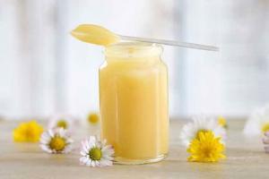 Công dụng tuyệt vời của Sữa ong chúa đối với sức khoẻ mà bạn nên biết
