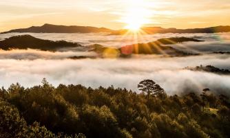 Địa điểm săn mây đẹp nhất Đà Lạt