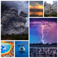 Khoảnh khắc đời thực tưởng chỉ có thể thấy trong phim