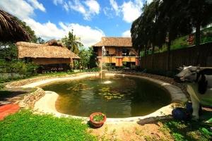 điều đặc biệt ở Nông Trang Xanh 