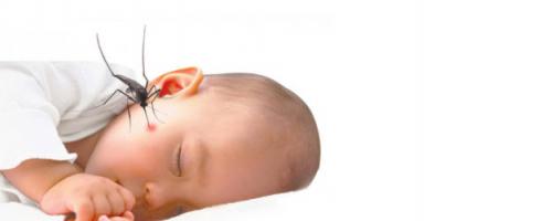 Lăn bôi trị muỗi đốt và côn trùng cắn hiệu quả nhất cho bé