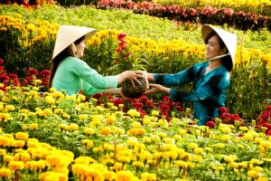 Làng hoa nổi tiếng nhất ở Việt Nam