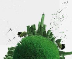 Loại sơn sinh thái phổ biến và được ưa chuộng nhất tại nước ta