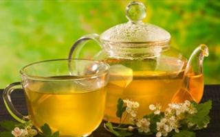 Lợi ích của trà hoa hòe đối với sức khỏe mà bạn nên biết