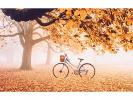 Màu sắc được yêu thích trong mùa thu