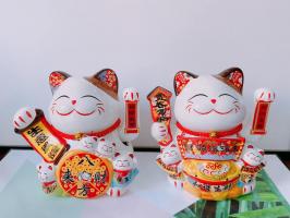 Địa chỉ mua mèo thần tài uy tín, chất lượng nhất tỉnh Nghệ An