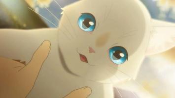 Chú mèo đáng yêu nhất trong truyện tranh và anime Nhật Bản