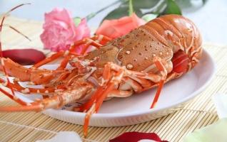 Món ngon giá cực đắt đỏ dành cho nhà giàu Việt