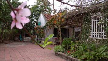 Homestay view đẹp và tốt nhất ở Nam Định