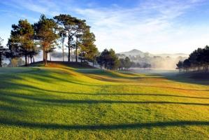 Nét đặc trưng quyến rũ  nhất của Đà Lạt