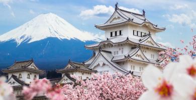 Ngành nghề thí sinh nên chọn khi đi lao động Nhật Bản